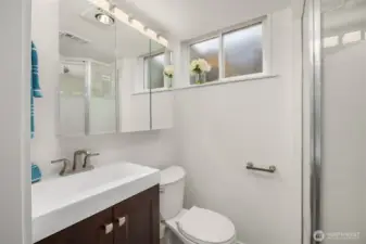 Lower level bathroom