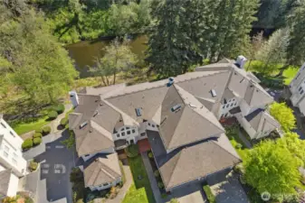 Drone View