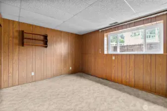 Lower Level Bedroom #4