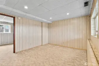 Lower level Family room.