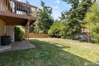 Large fenced backyard