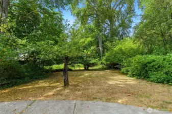 Back yard looking from the back door out to the 1.26 acres!