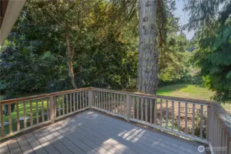 Private deck off kitchen.