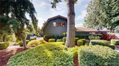 Beautifully landscaped backyard with mature trees and shrubs