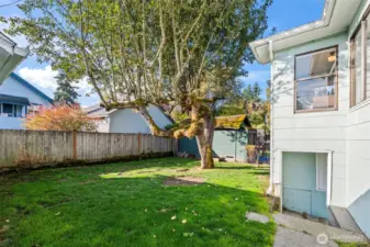 Backyard is fenced  and the established tree adds a ton of character.