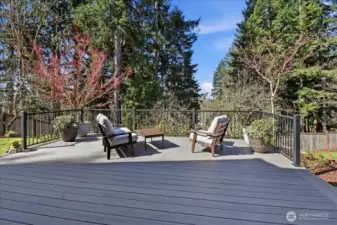 Timber Tech Deck overlooking community park area