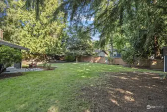 Yard will impress with towering evergreens, lots of grassy play area, and separation from neighbors.