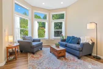 Main level living room, extra tall ceilings make it so bright & airy!