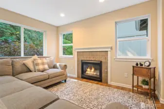 Main level sitting area with gas fireplace and plenty of windows