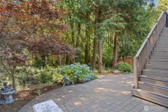 Very low maintenance backyard, sit back and enjoy the forest!