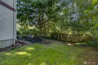Another view of side yard.