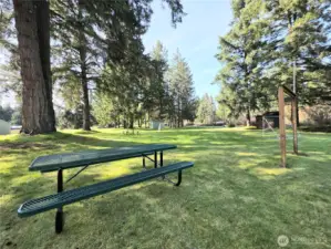 Picnic-ready spaces for BBQs, birthdays, and sunny afternoons.