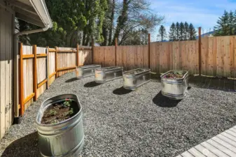 Fantastic sunny sport for plants!