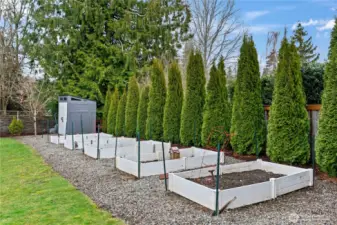 Raised garden beds with shed