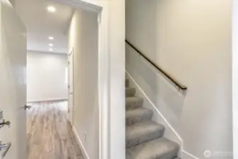 main level