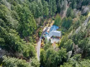 Nearly 5 acres with towering evergreens.