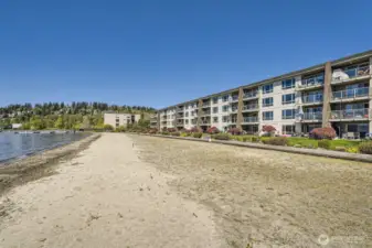 Juanita Shores