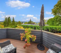 Outdoor deck of living room.