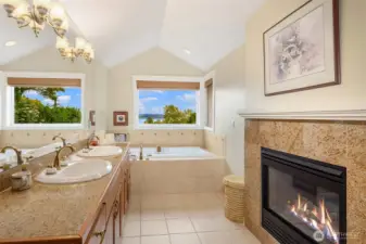 Fireplace in Primary bath