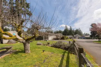 A beautiful and peaceful setting to enjoy.