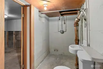 bathroom area on lower level