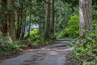 Long driveway in.