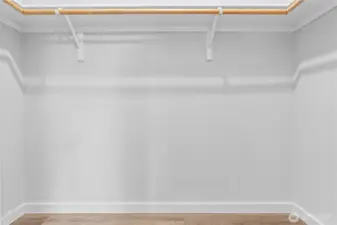 Walk-in Closet in Primary Bedroom