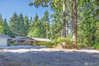 Set among mature evergreens on a large lot, this home offers peace and privacy!