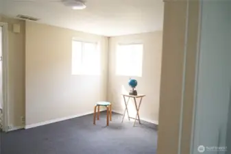 Bonus room in basement