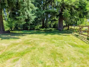 South side of Property looking east toward creek
