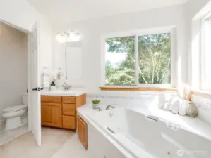 Primary Jetted Tub