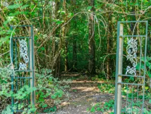 Woods for Trails