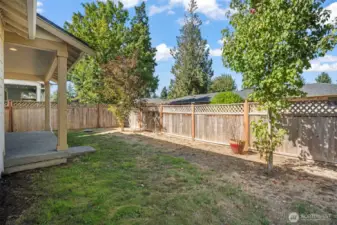 Fully fenced and private backyard