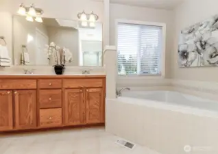 Primary bathroom