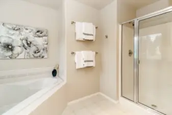 Primary bathroom