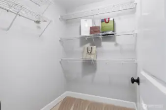 Main floor suite's walk-in closet.