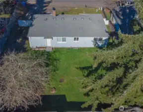 The tree on the left provides lots of apples!