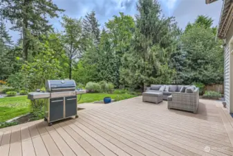The large Trex deck overlooking the secluded, park-like backyard