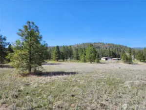 This is from the east end of the property looking west at the property and structures (through the trees).