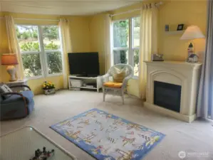 Electric fireplace in great room