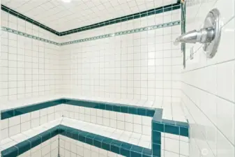 Stream Room/Shower