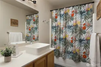 Main floor full bathroom (#2)
