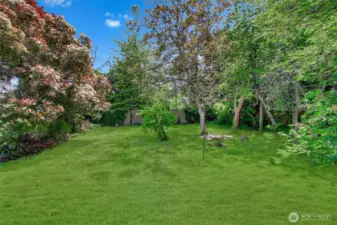 Back of the house. Charming backyard! Blooming hydrangeas and rhodedendrons! Raised flower beds. Big side yard with gate. Fully fenced. Very private and homey. Great for pets, play and entertaining!