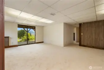 Lower level family room with sliding doors to the patio & yard