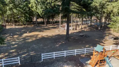 Room to roam and play for all: pets, animals and horses too!