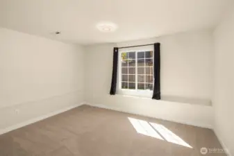 Downstairs Bedroom.