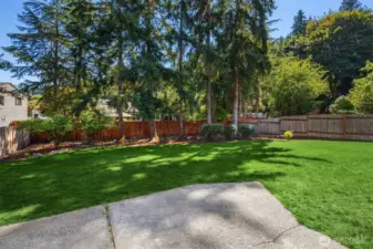 Expansive backyard perfect for games or relaxation.