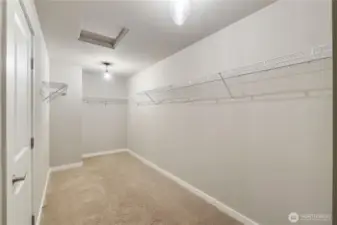 Massive Primary closet