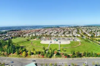 Neighborhood views