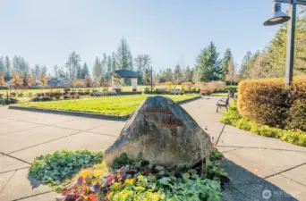 Large park across the street